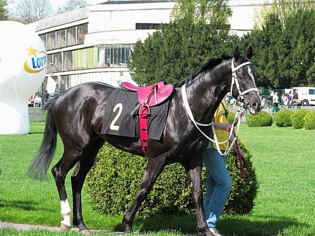 image_3.jpg