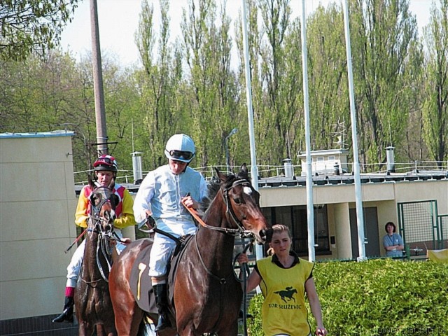 image_30.jpg