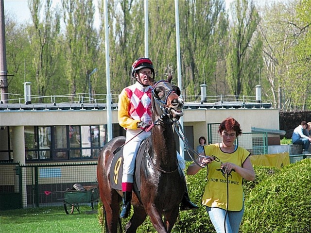 image_31.jpg