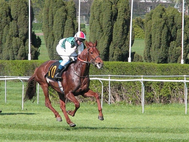 image_32.jpg