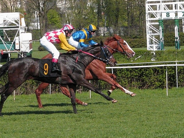 image_34.jpg