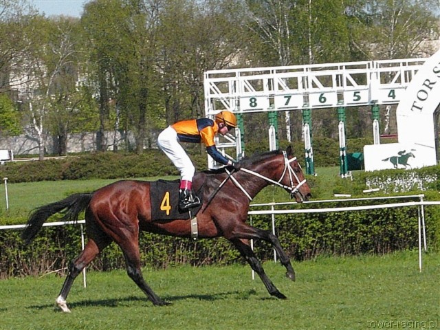 image_35.jpg