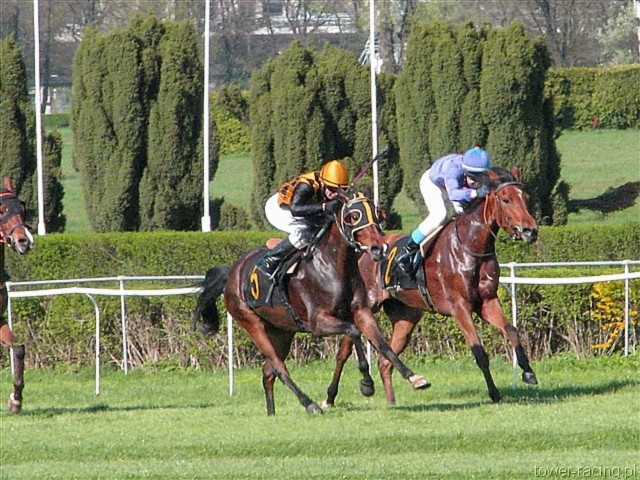image_43.jpg