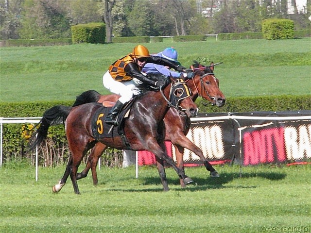 image_44.jpg