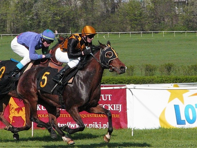 image_45.jpg