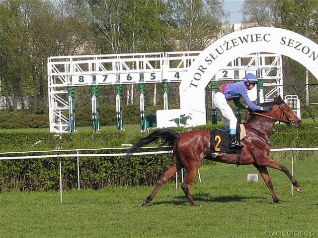 image_46.jpg