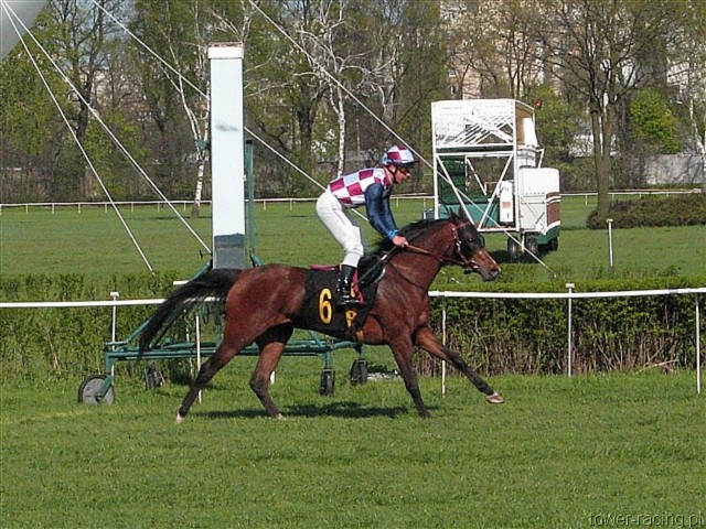 image_47.jpg