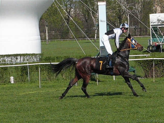 image_48.jpg