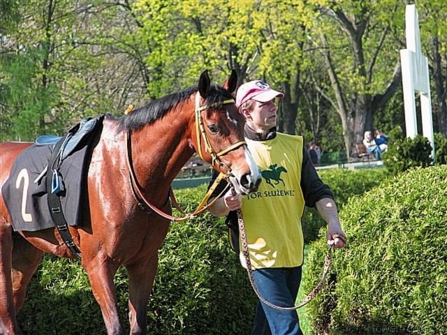 image_54.jpg