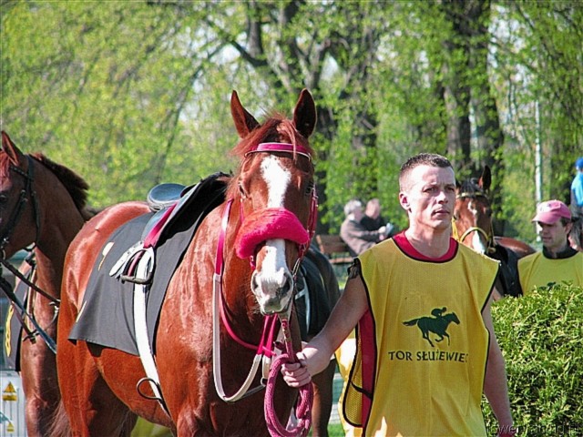 image_60.jpg