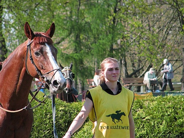 image_62.jpg