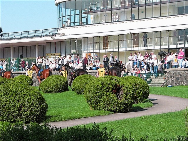 image_66.jpg