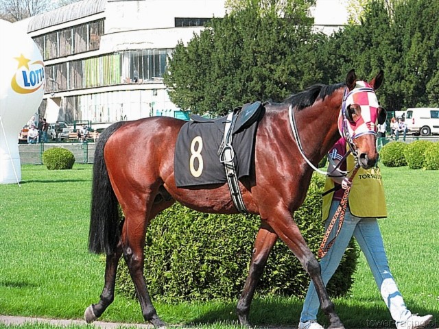 image_7.jpg