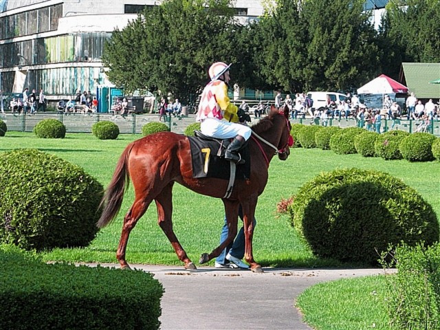 image_70.jpg
