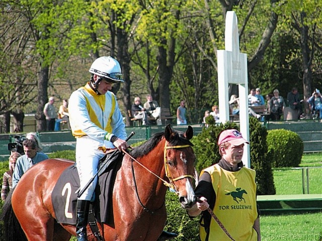 image_74.jpg