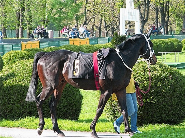 image_81.jpg
