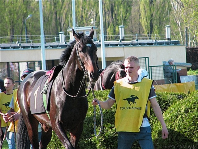 image_86.jpg