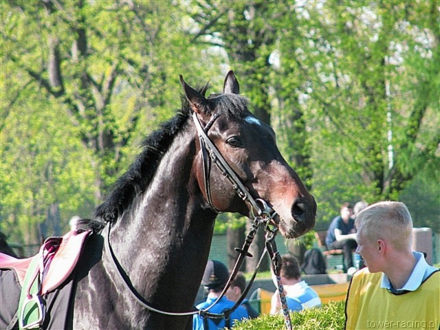 image_87.jpg