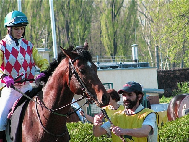 image_88.jpg