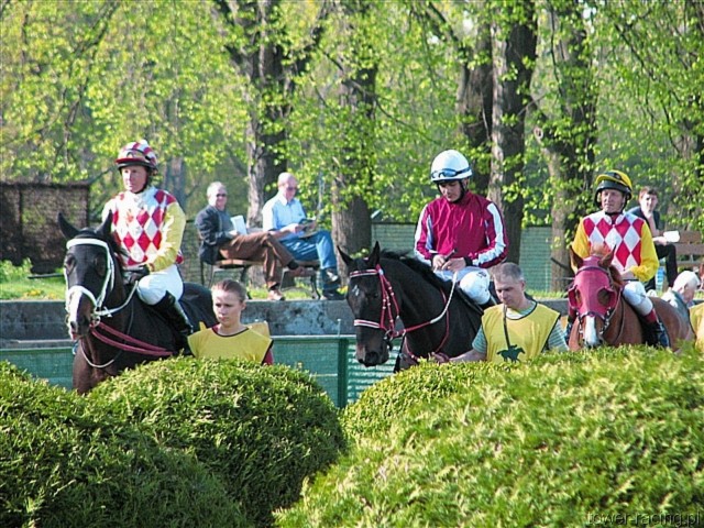 image_95.jpg