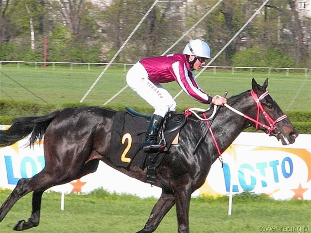 image_98.jpg