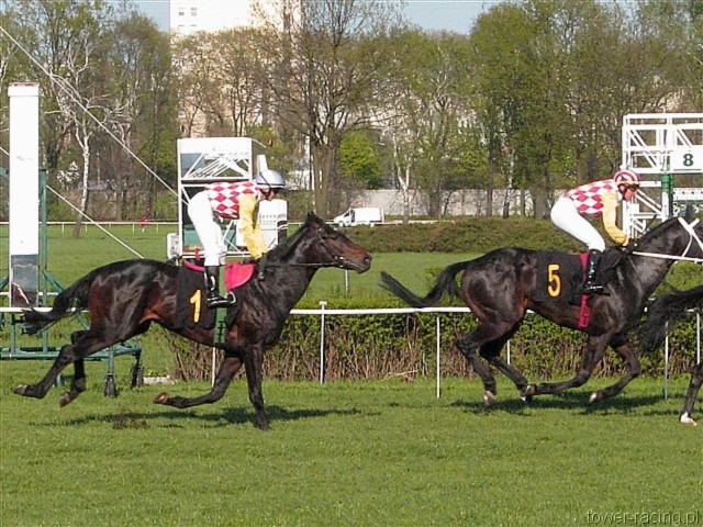 image_99.jpg
