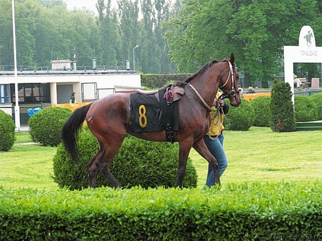 image_0.jpg