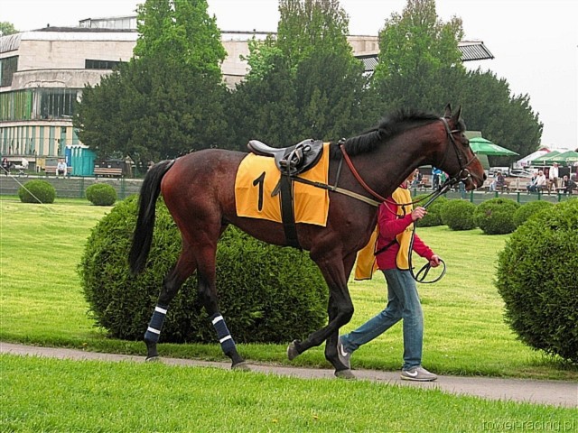 image_1.jpg