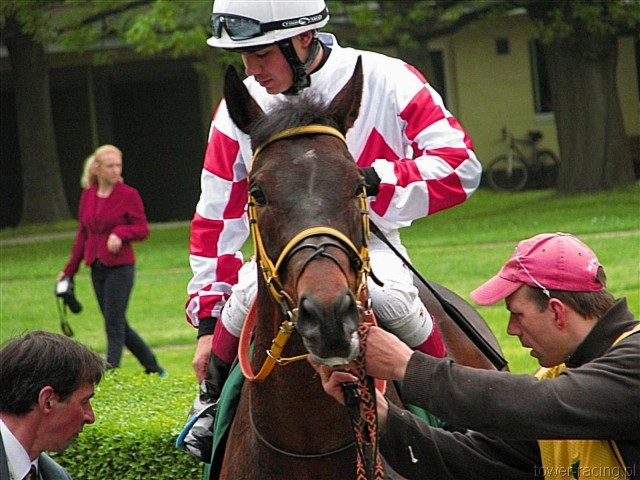 image_103.jpg