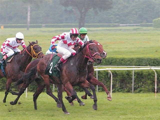 image_108.jpg