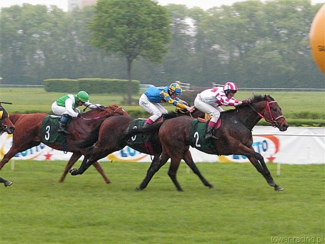 image_109.jpg