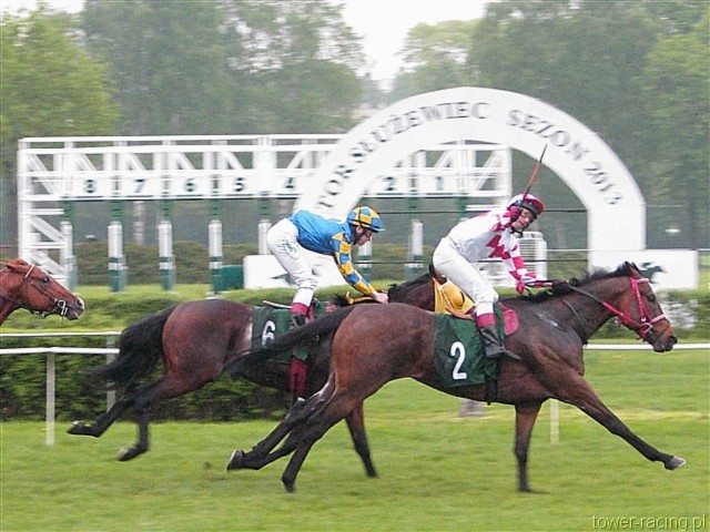 image_110.jpg