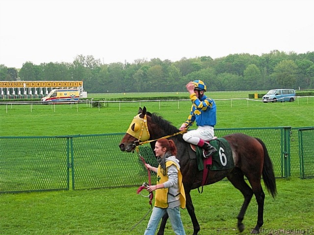 image_113.jpg