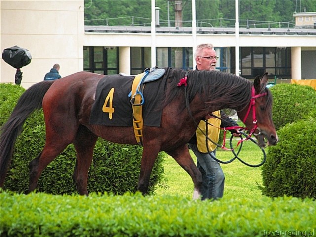 image_116.jpg