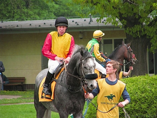 image_12.jpg