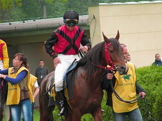 image_120.jpg