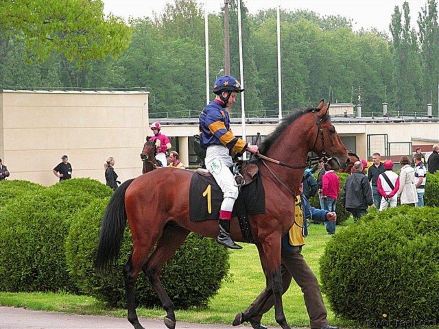 image_17.jpg