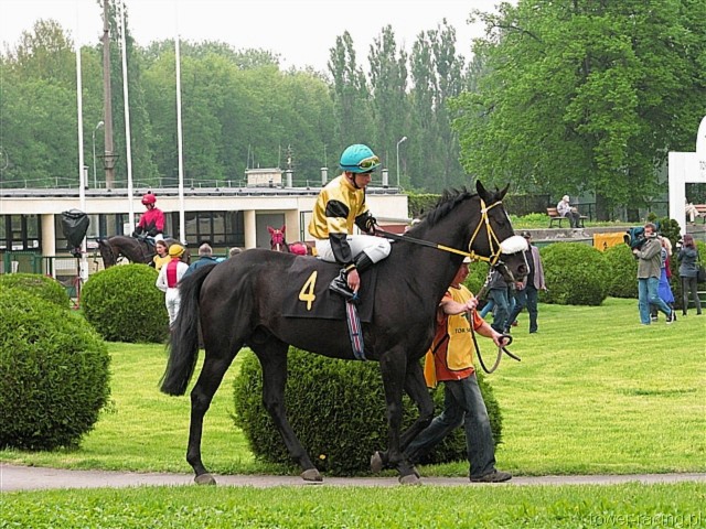 image_18.jpg