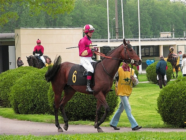 image_19.jpg