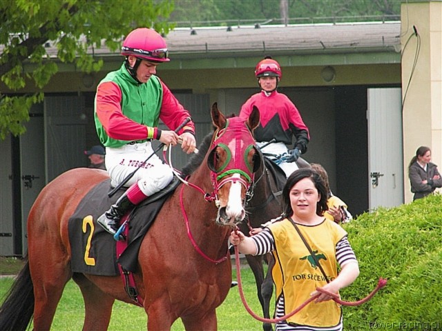 image_20.jpg