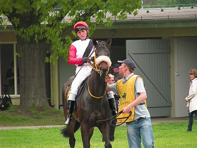 image_26.jpg