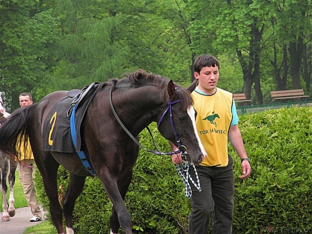 image_28.jpg