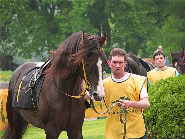 image_36.jpg