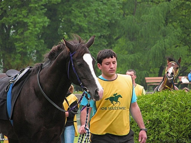 image_38.jpg