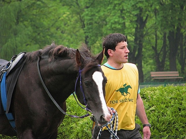 image_39.jpg