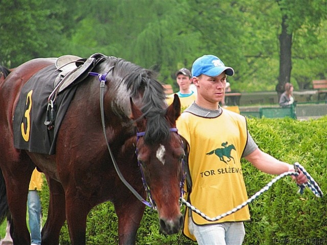 image_40.jpg