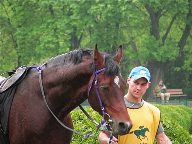 image_41.jpg
