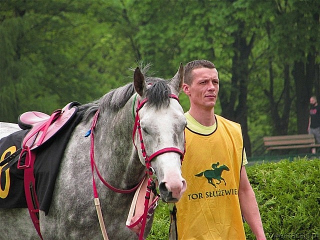 image_43.jpg