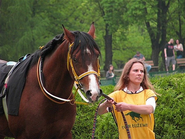 image_44.jpg