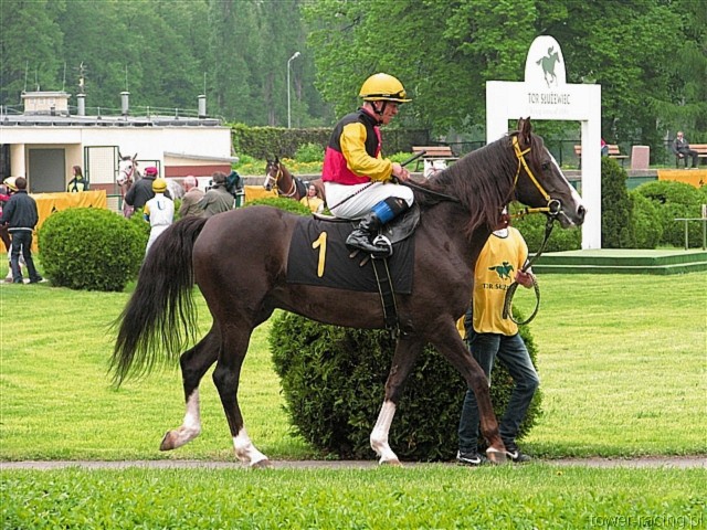 image_47.jpg